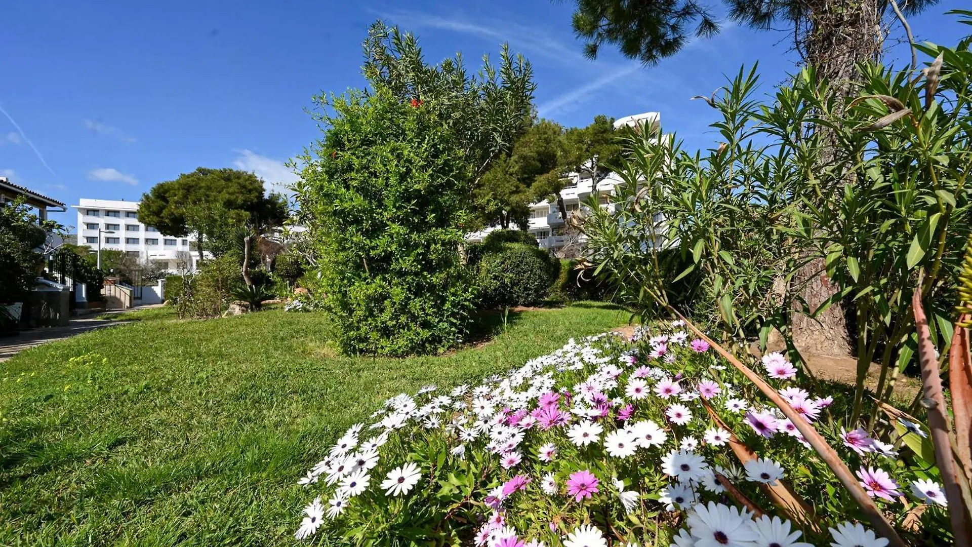 Apartamento Ferienwohnung Mar De Plata In Alcudia Nur 5 Minuten Vom Strand