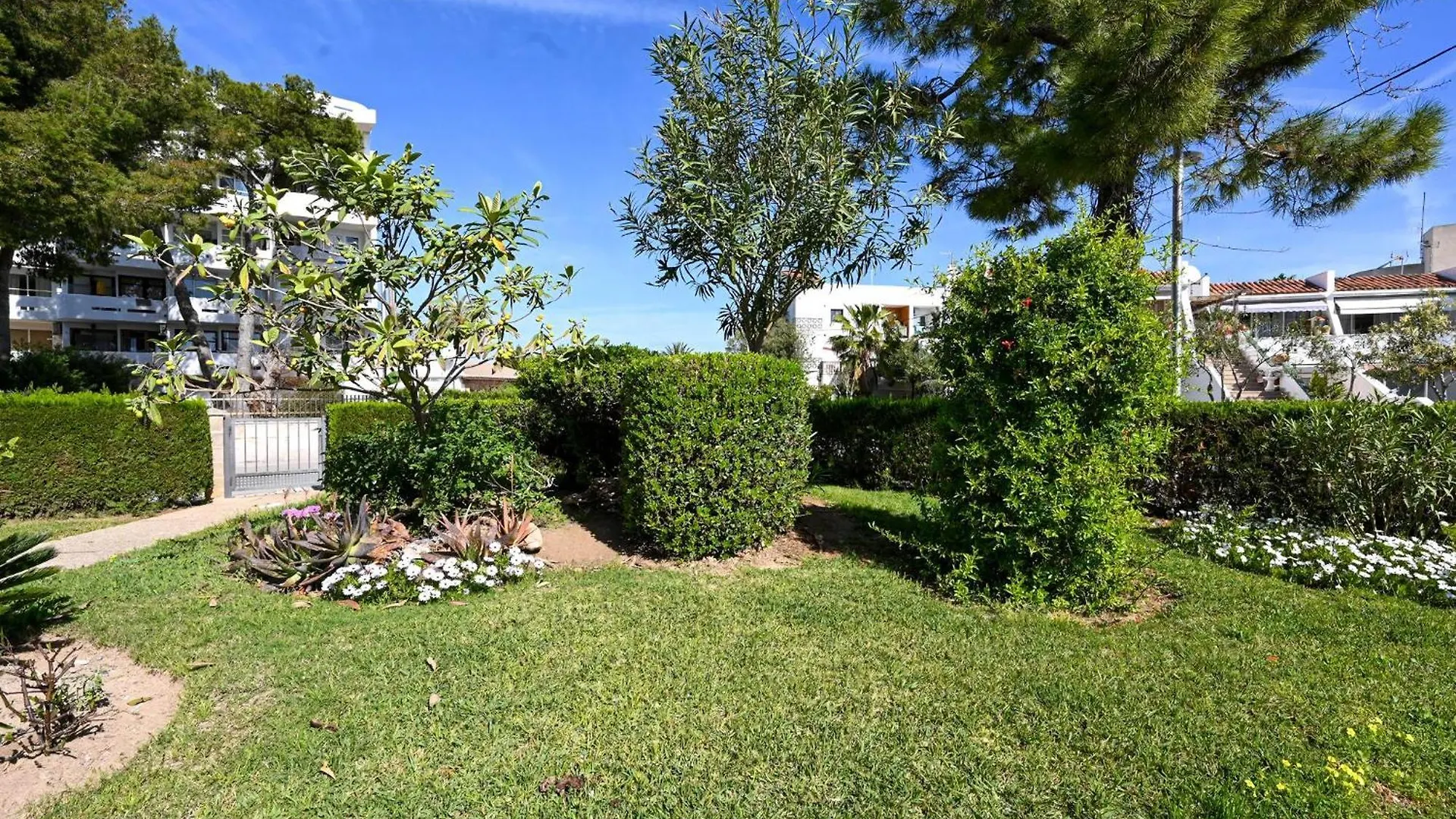 Ferienwohnung Mar De Plata In Alcudia Nur 5 Minuten Vom Strand 0*, Alcúdia Espanha